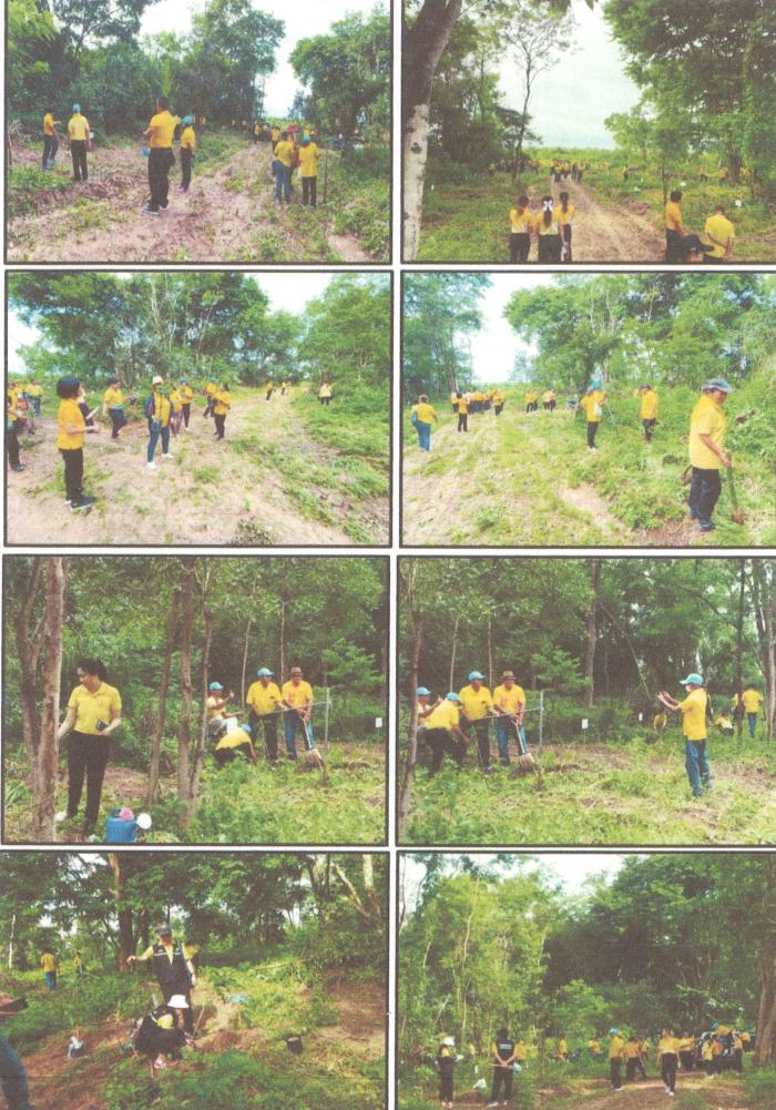 กิจกรรมปลูกต้นไม้เนื่องในวันสำคัญของชาติไทยวันเฉลิมพระชนมพรรษาพระบาทสมเด็จพระเจ้าอยู่หัวองค์สมเด็จพระปรเมนทรรามาธิบดีศรีสินทรมหาวชิราลงกรณพระวชิรเกล้าเจ้าอยู่หัวพระมหากษัตริย์พระองค์ปัจจุบันของประเทศไทยเป็นพระมหากษัตริย์รัชกาลที่ 10 แห่งราชวงศ์จักรี