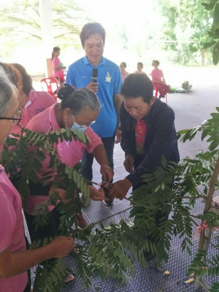 โครงการสูงวัยอย่างมีคุณค่า ชราอย่างมีความสุข ประจำปี 2566