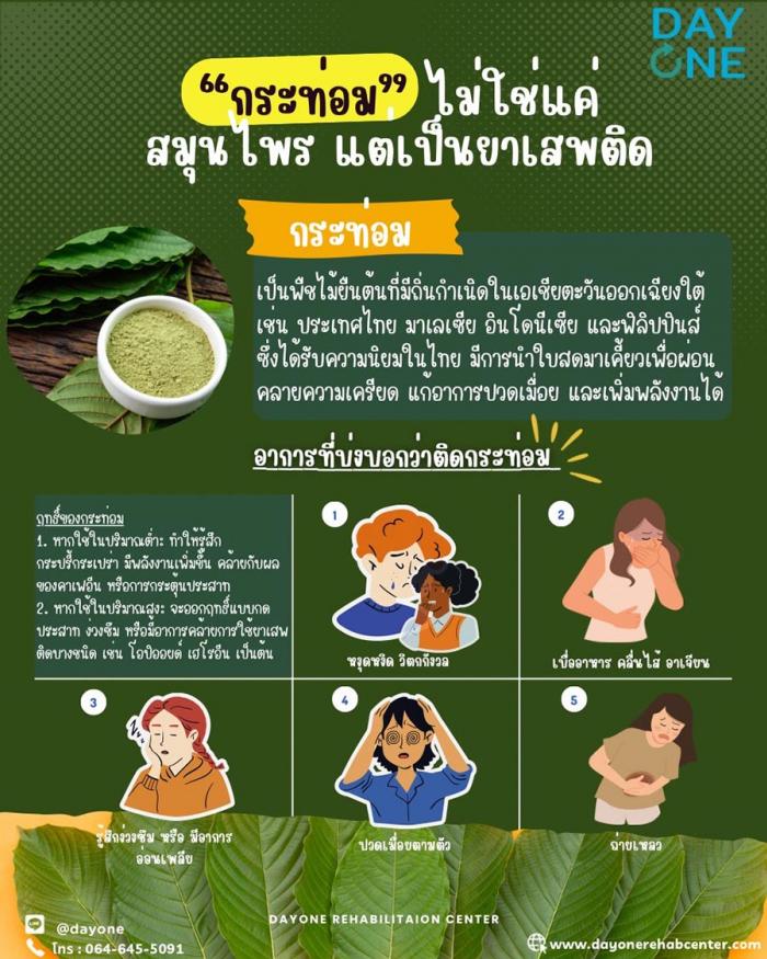กระท่อม ไม่ใช่แค่สมุนไพร แต่เป็นยาเสพติด