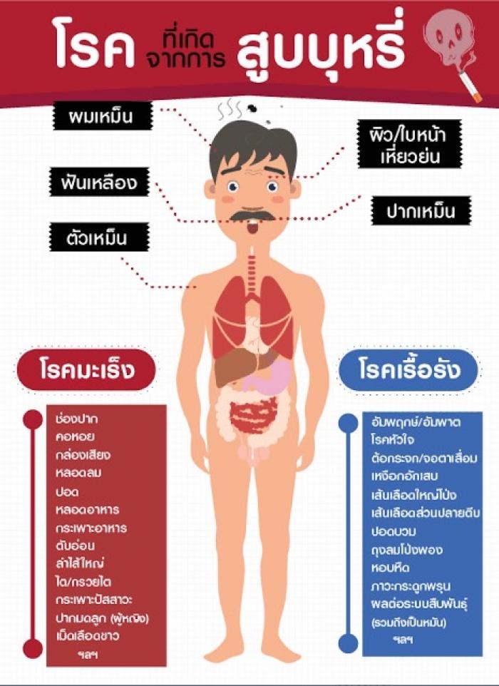 นโยบายให้มีสถานที่เป็นเขตปลอดการสูบบุหรี่  ในสถานที่ราชการ ศูนย์พัฒนาเด็กเล็ก เพื่อดำเนินการควบคุมผลิตภัณฑ์ยาสูบตามกฎหมายว่าด้วยการควบคุมผลิตภัณฑ์ยาสูบ